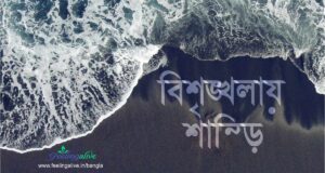 Peace_in_chaos_Bangla