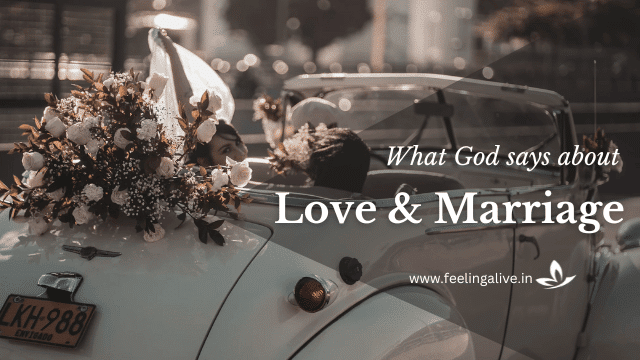 Bible Verses About Love and Marriage