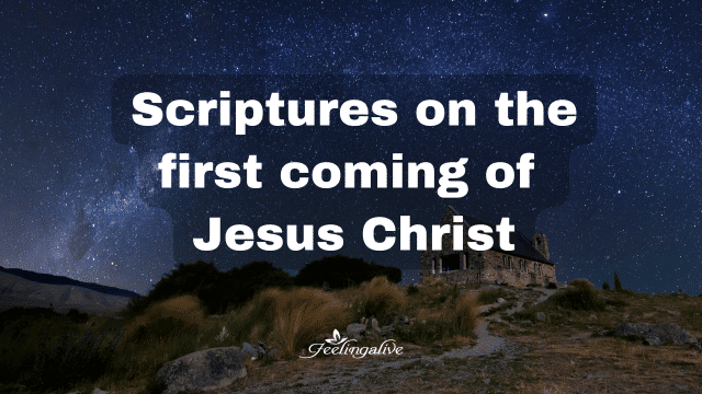 Versículos bíblicos sobre el nacimiento de Jesucristo